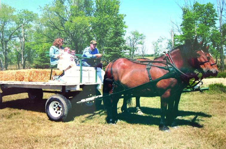Church Sedgewick history (6) - worked.jpg