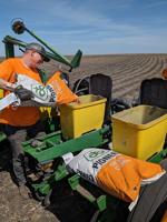 Northwest Iowa farmer finishes corn early