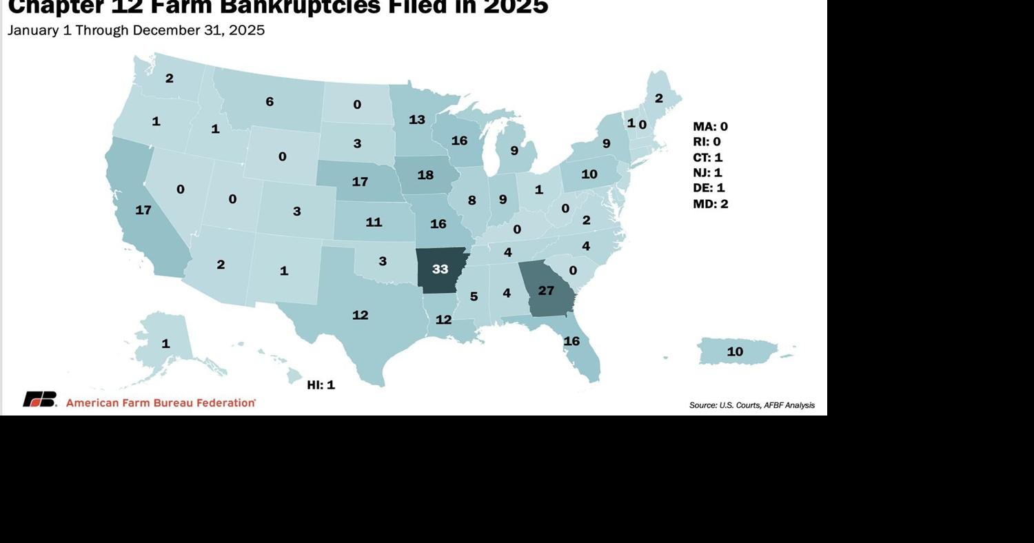 2025 bankruptcies