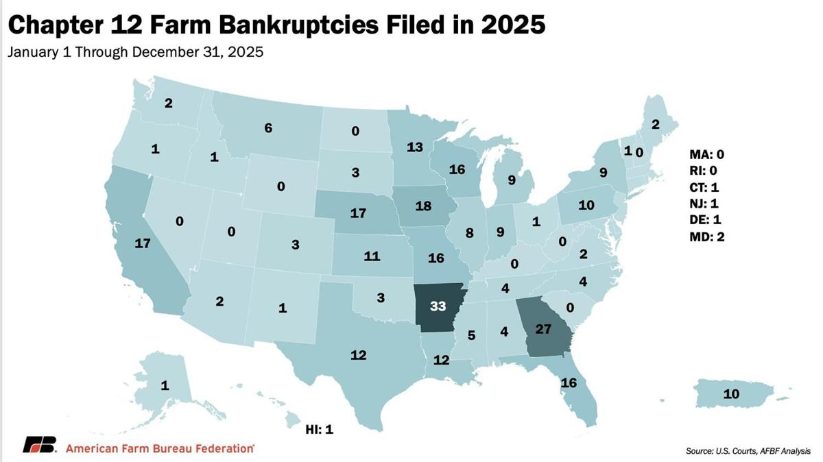 2025 bankruptcies
