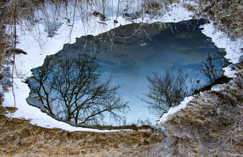 Pond