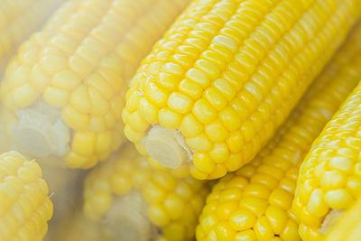 Sweet corn