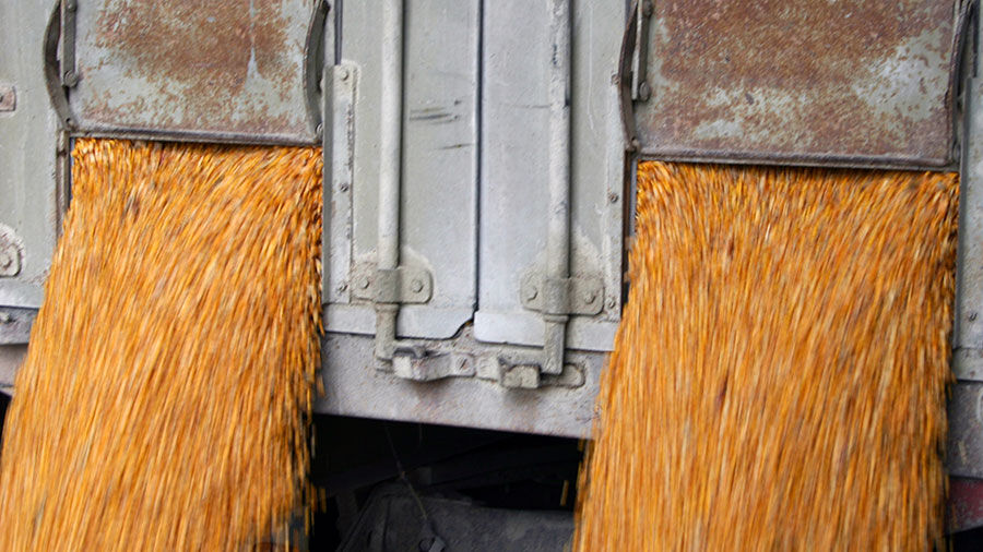 Corn flowing