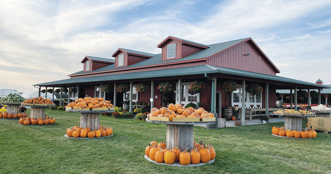 Iowa farm adds to seasonal offerings and events