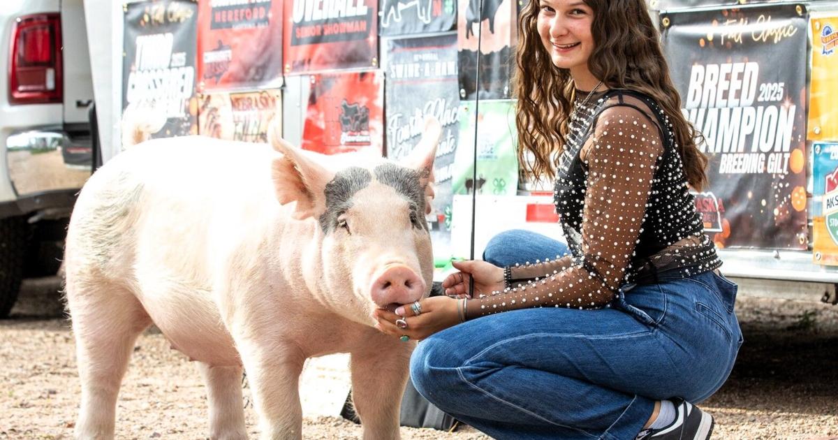 Champion hog showman shares secrets to success