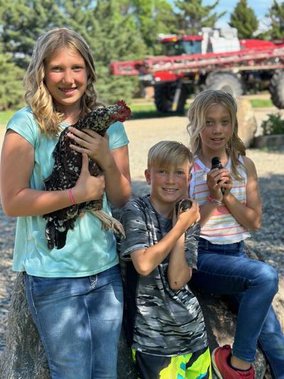 Rain encourages crops, grasshoppers for Keane