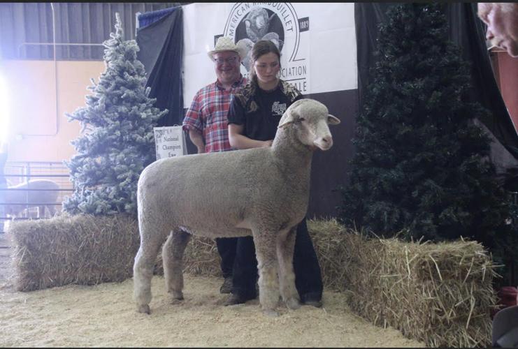 2023 National Champion Ewe.jpg