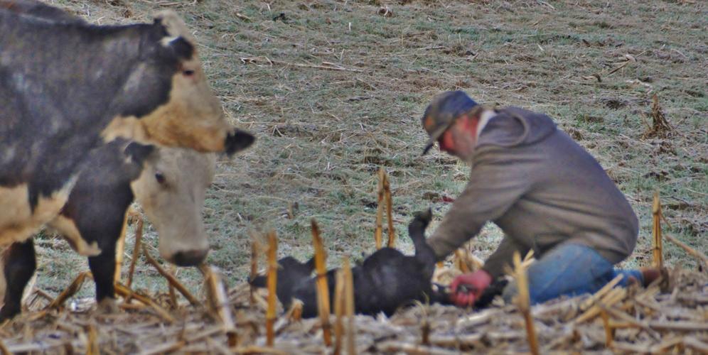 From the Fields: May 9 Wade Bulman