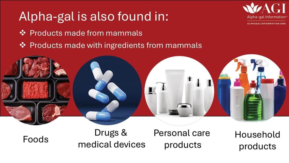 Where alpha-gal is found