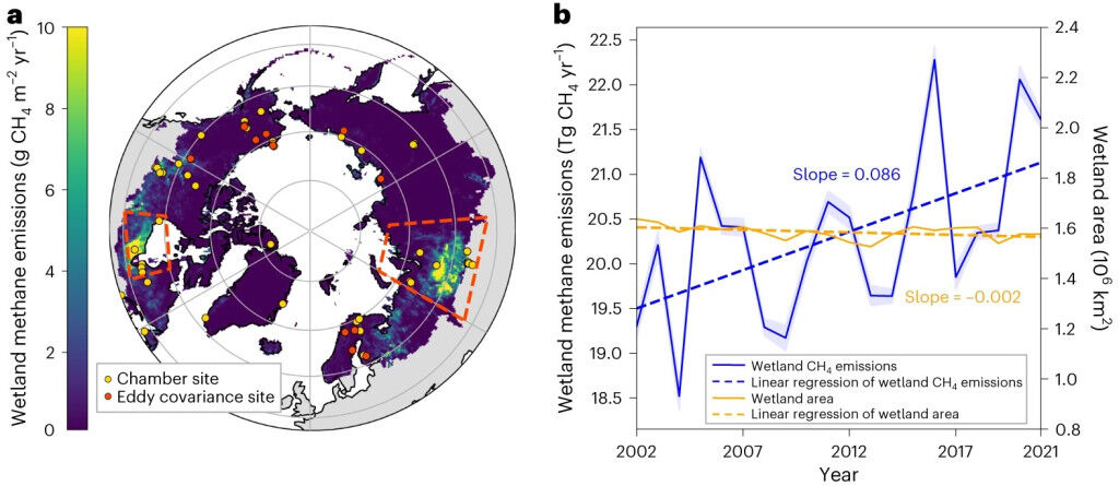 Boreal-Arctic graphic
