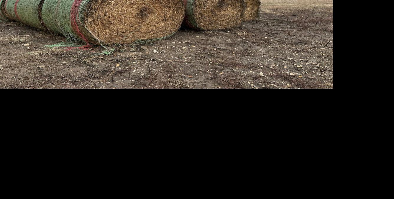 Hay bales