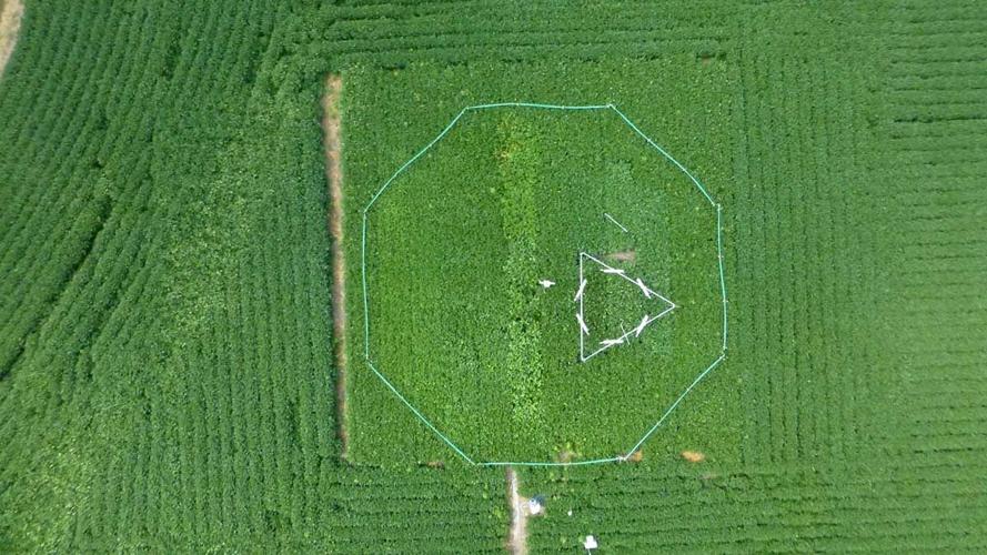 carbon hexagon used in research at University of Illinois