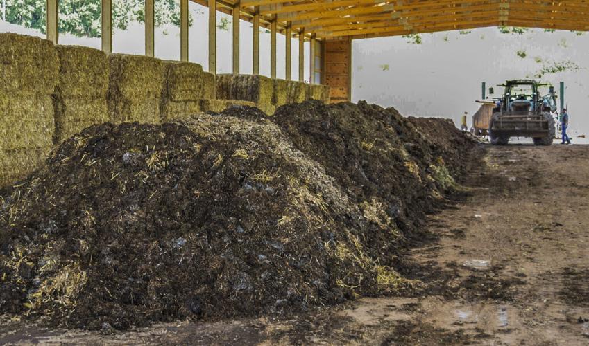 Composting manure