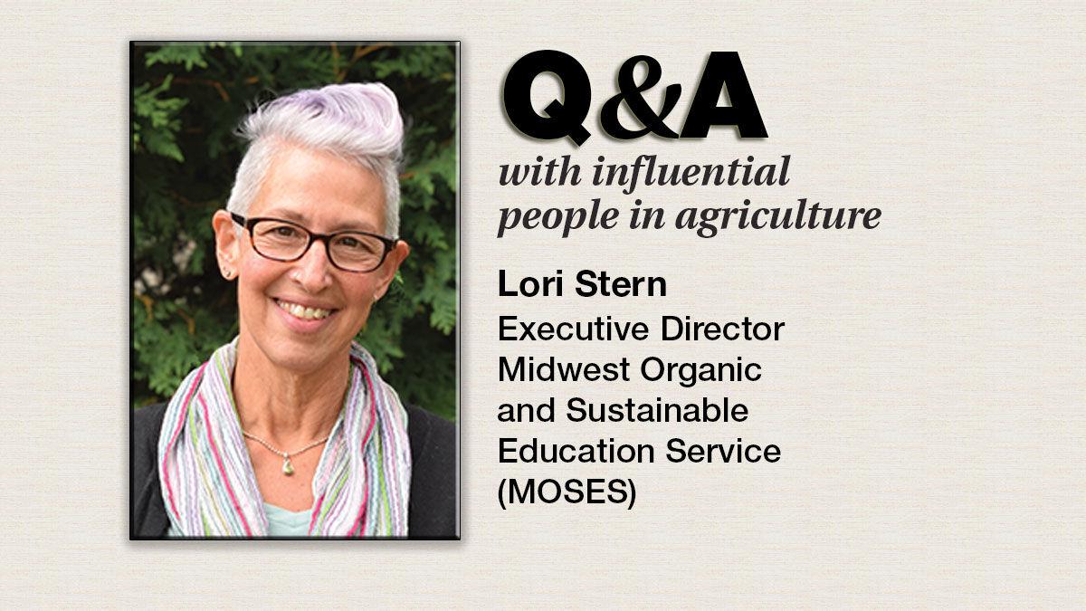 Q & A Lori Stern