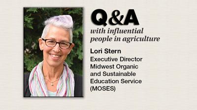 Q & A Lori Stern