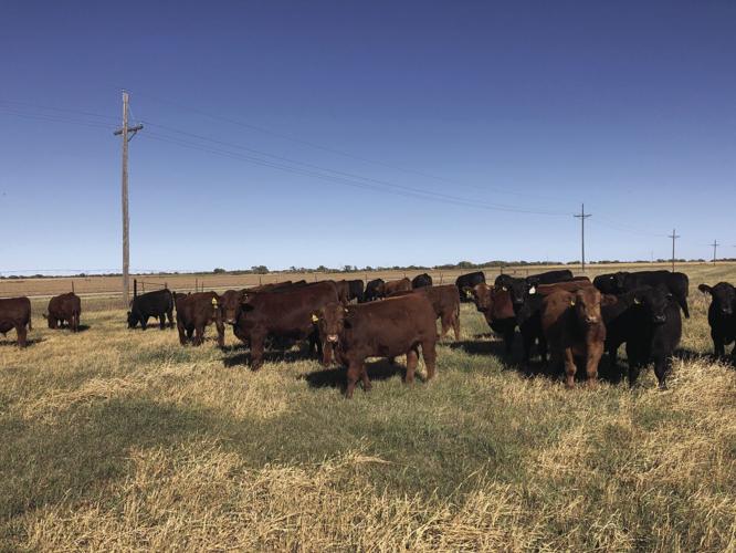 Marketing class 3.JPG