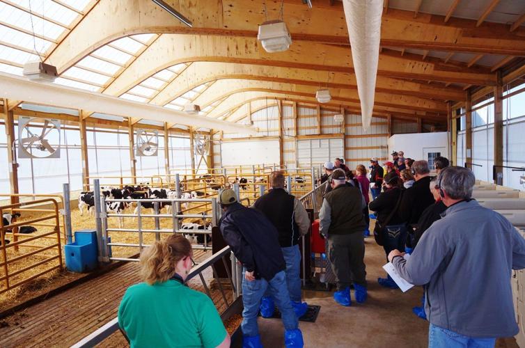 Calf barn tour