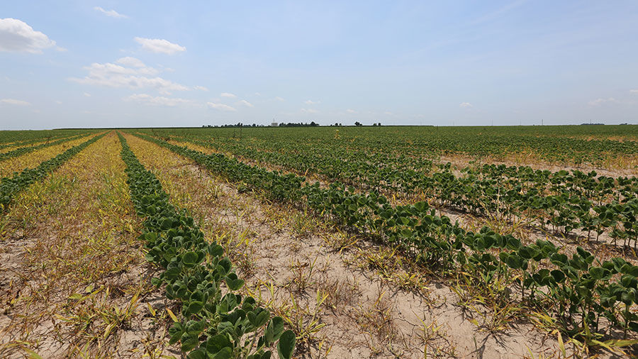 Missouri monitors dicamba damage