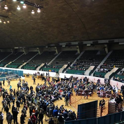 The 2022 Minnesota Beef Expo is set for Oct. 20-23.