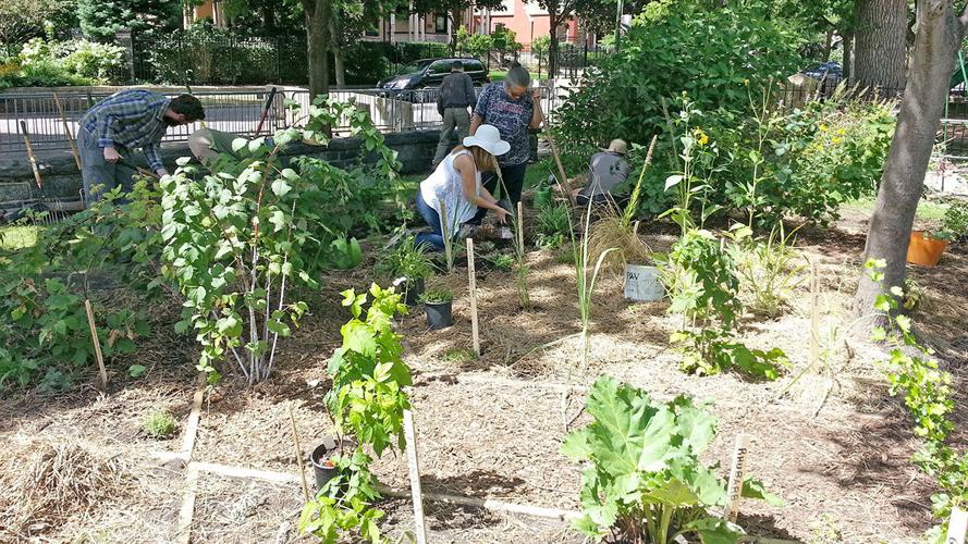 Veterans Victory Farm start up
