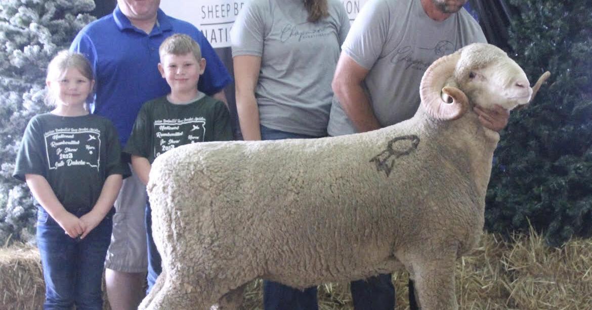 Top selling ram at national Rambouillet sale brings $4,800