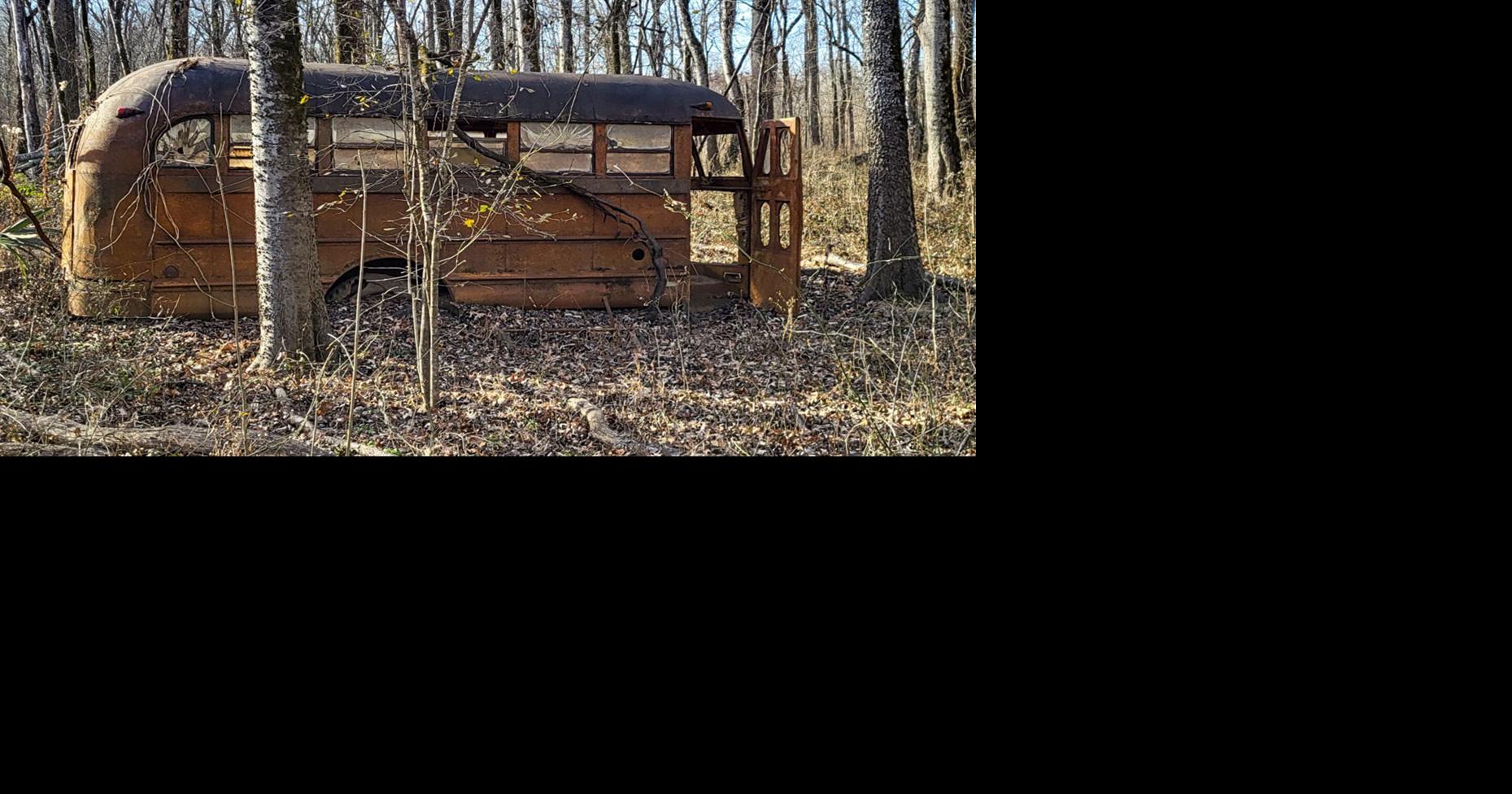 Bus