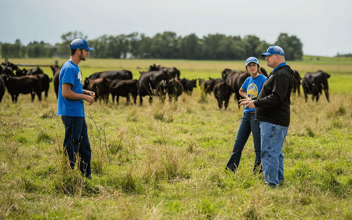 cattle producers in pasture