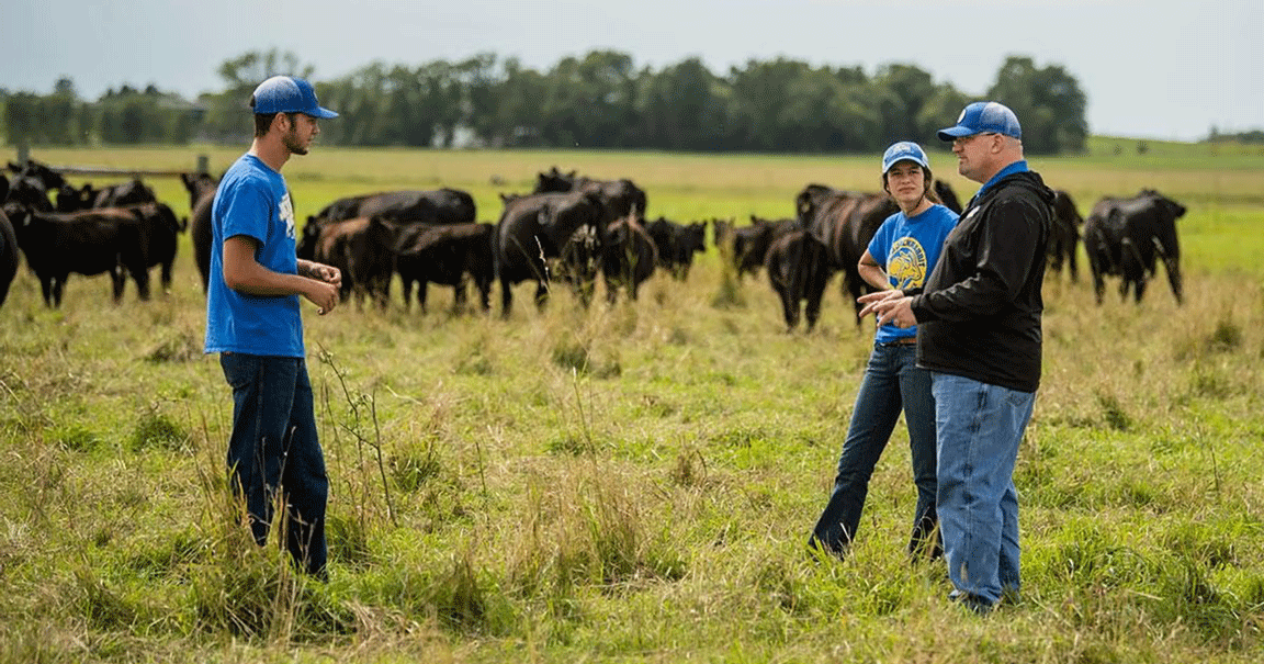 Why predictable grazing is costing you