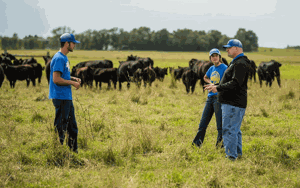 Why predictable grazing is costing you