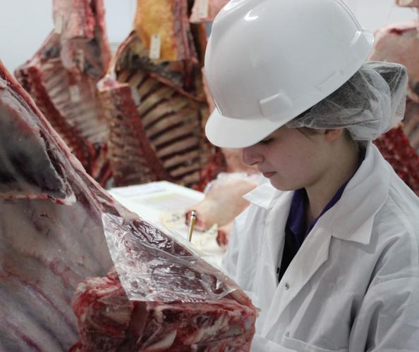 Katelyn Zimmerman in meat-science lab