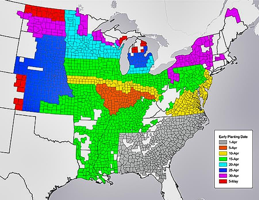 Soybean early planting dates changes
