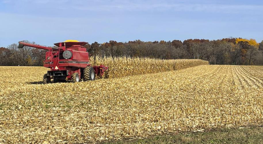 Combine in field