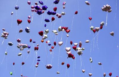 Honor Anisa by stopping the violence