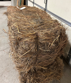Old hay 1.png