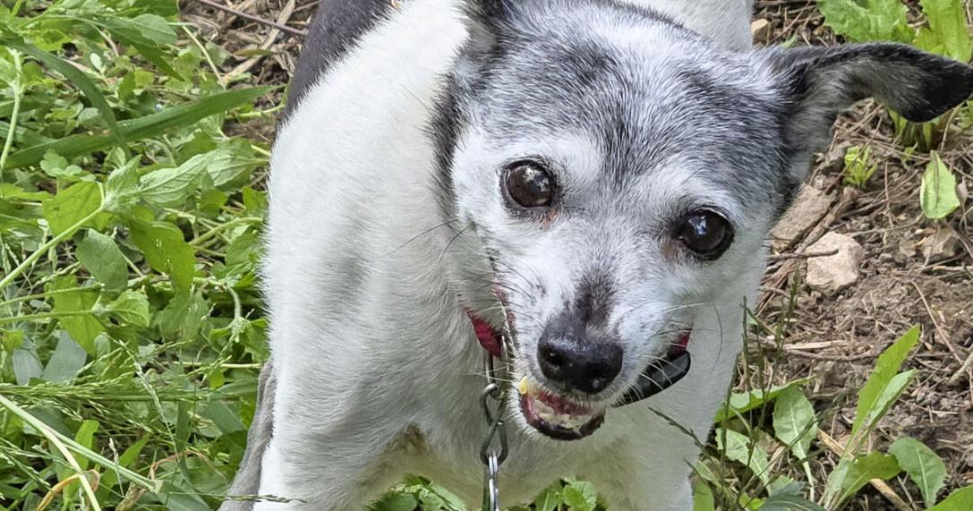 Life in a Farmhouse Kitchen