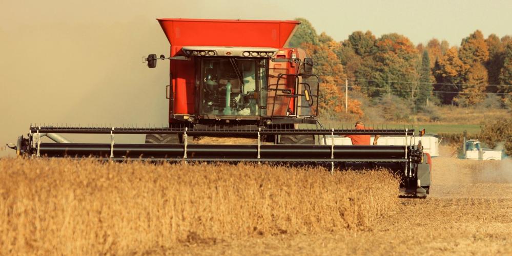 Soybean harvest