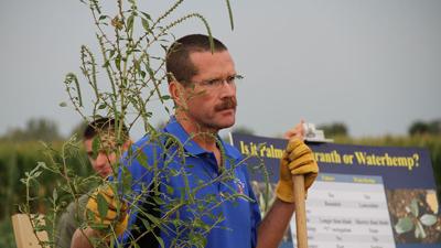 University of Illinois Extension weed specialist Aaron Hager