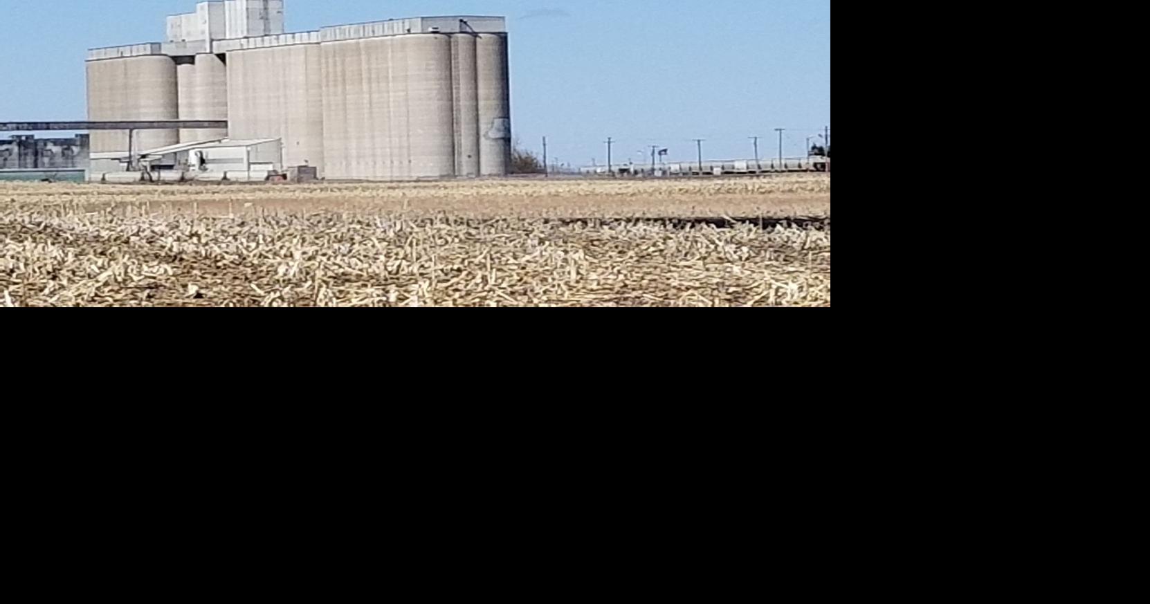 Closing of Spiritwood malting facility raises concern for barley growers