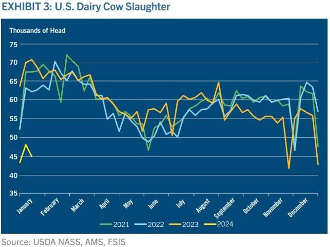 EXHIBIT 3: U.S. Dairy Cow Slaughter