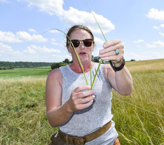 Becky Atten showing grass growth