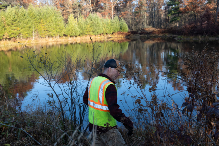 Artificial beaver lodge