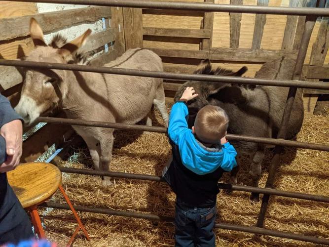 Nativity Scene 3.jpg