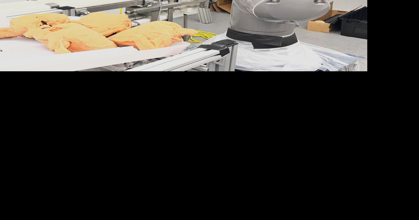 Avatar meat processors? Virtual reality, automation future of meat industry