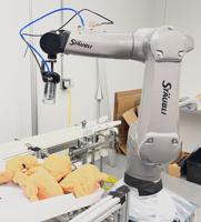 Avatar meat processors? Virtual reality, automation future of meat industry