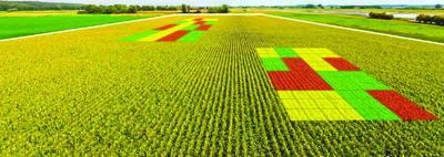 Nitrogen trials PIC 0202sdsu