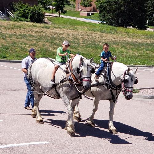 9  --- 20190322_095634 (002).jpg