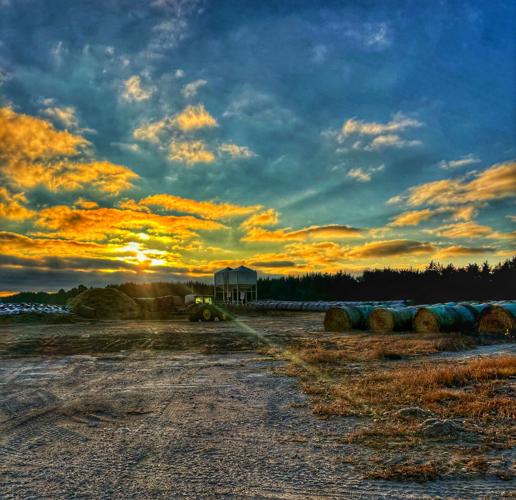 Sandhills Sunrise (1).jpg