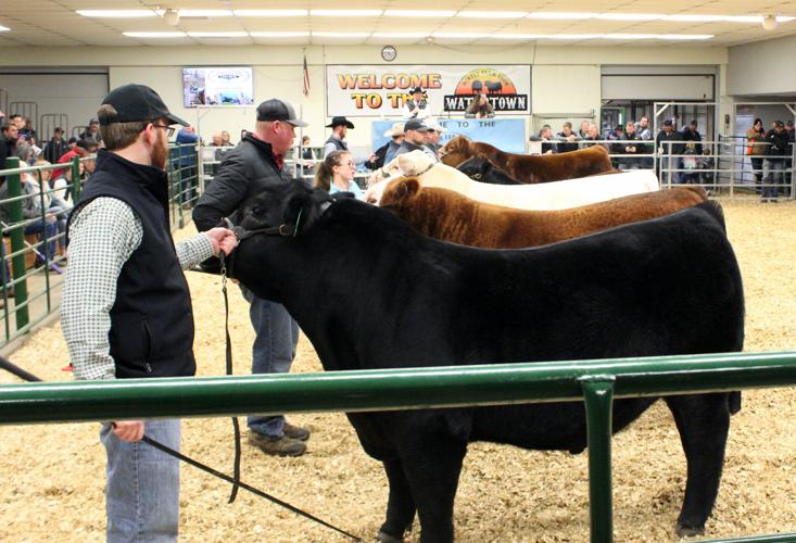 WEB-Watertown-Winter-Farm-Show-2022-(49).jpg
