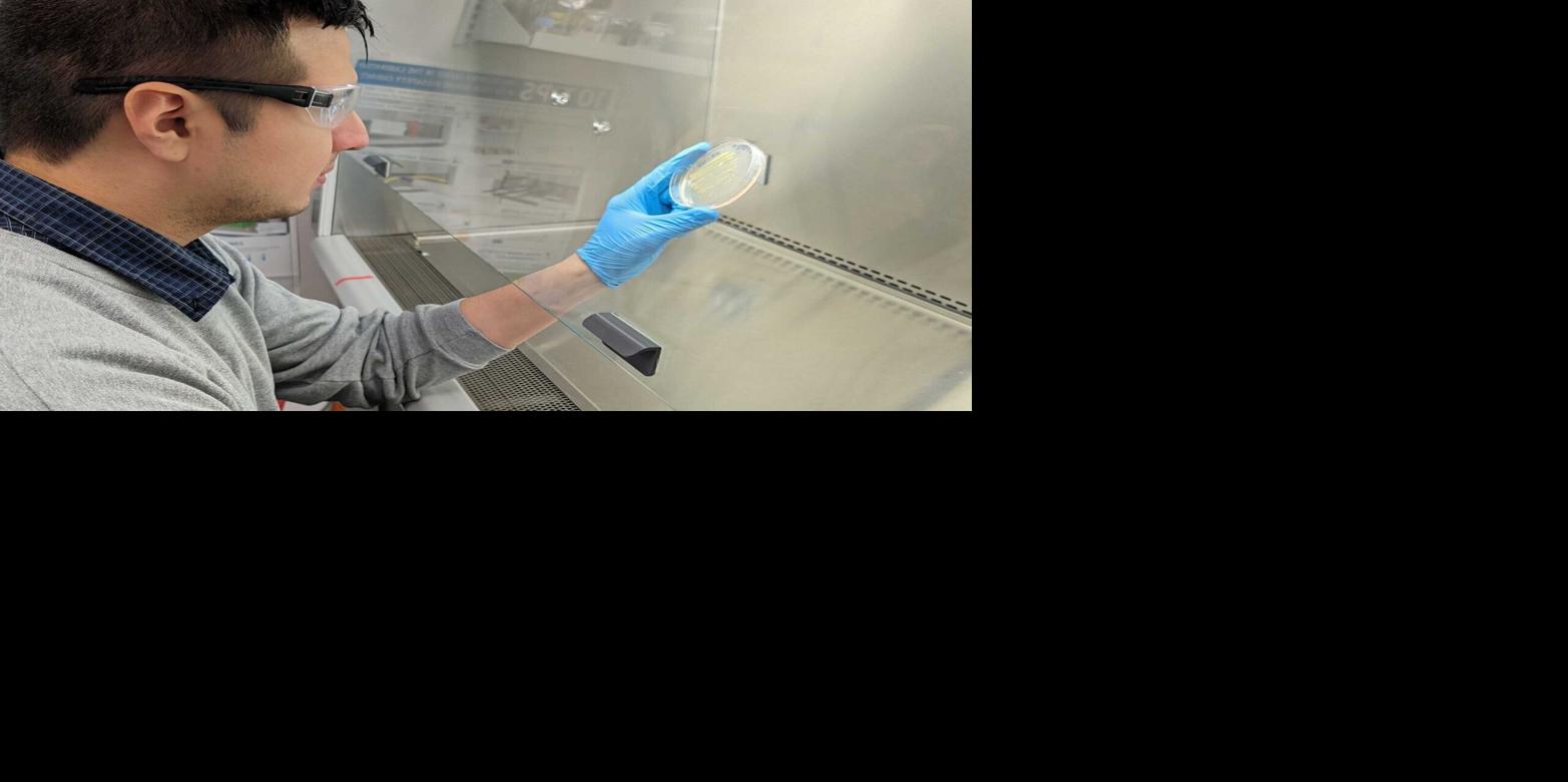 Diego Gutierrez in lab