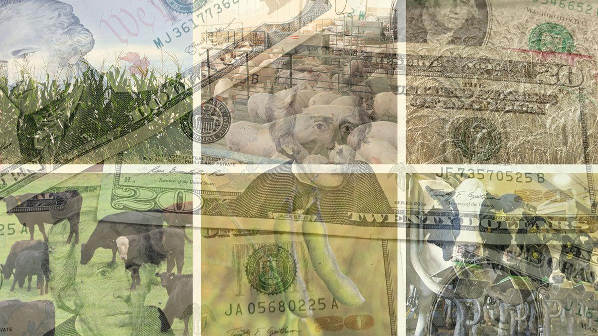 Farm images with ghosted money